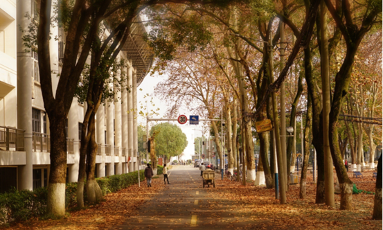 说明: //rcb.clcat.net/__local/F/DC/AD/26AAF68465C39908E951504ECA2_E70C2E5D_119062.png